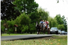 ©Deákné Hajdú Emese